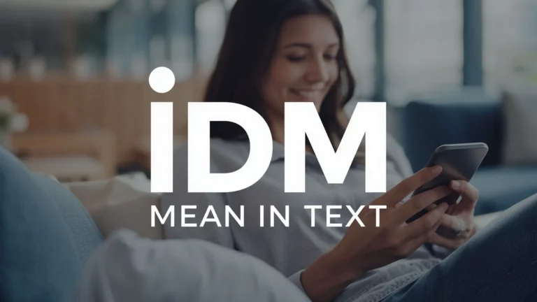 IDM Mean in Text